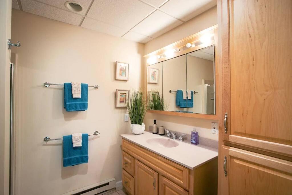 Spacious 3Br 3Ba Sleeps 8 Ski On Off Jiminy Mountain Resort Hancock Esterno foto