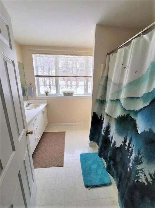Spacious 3Br 3Ba Sleeps 8 Ski On Off Jiminy Mountain Resort Hancock Esterno foto